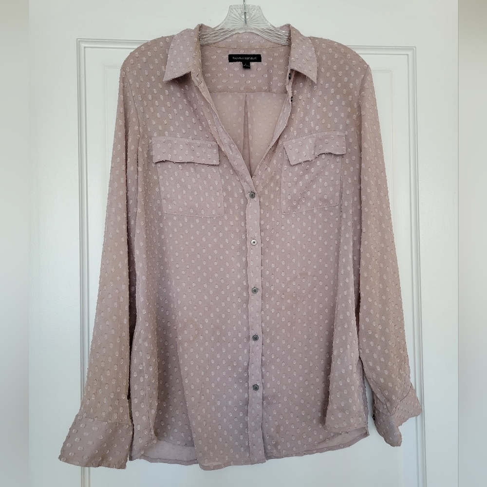 Banana Republic Sheer Button Down Blouse